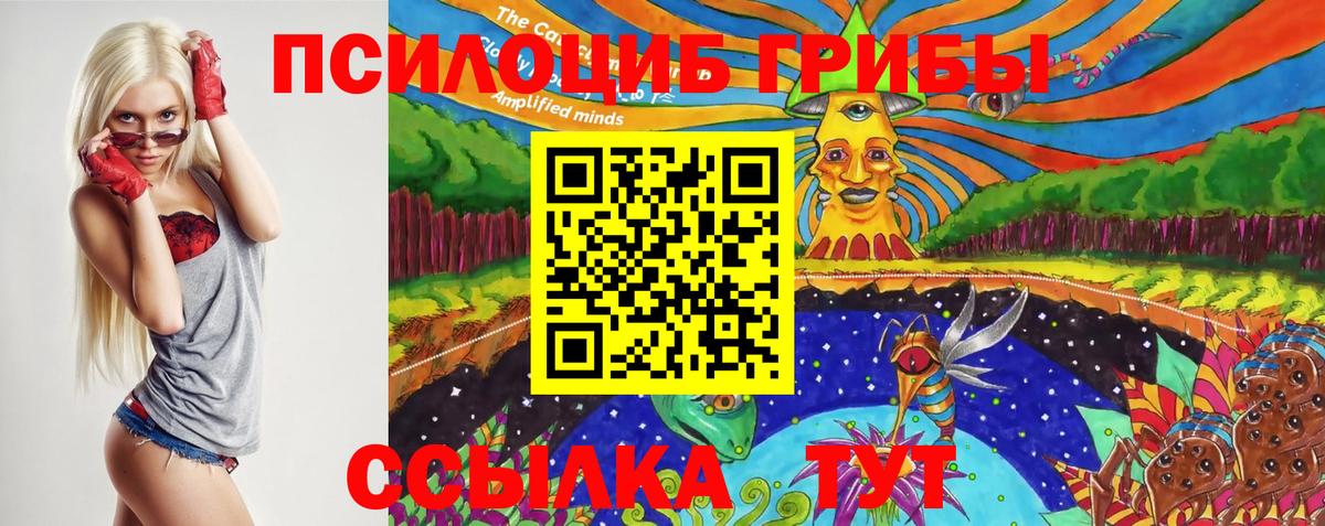 Галлюциногенные грибы Psilocybine cubensis  Галлюциногенные грибы Psilocybine cubensis  Фрязино  купить  сайты  Вход с VPN 
