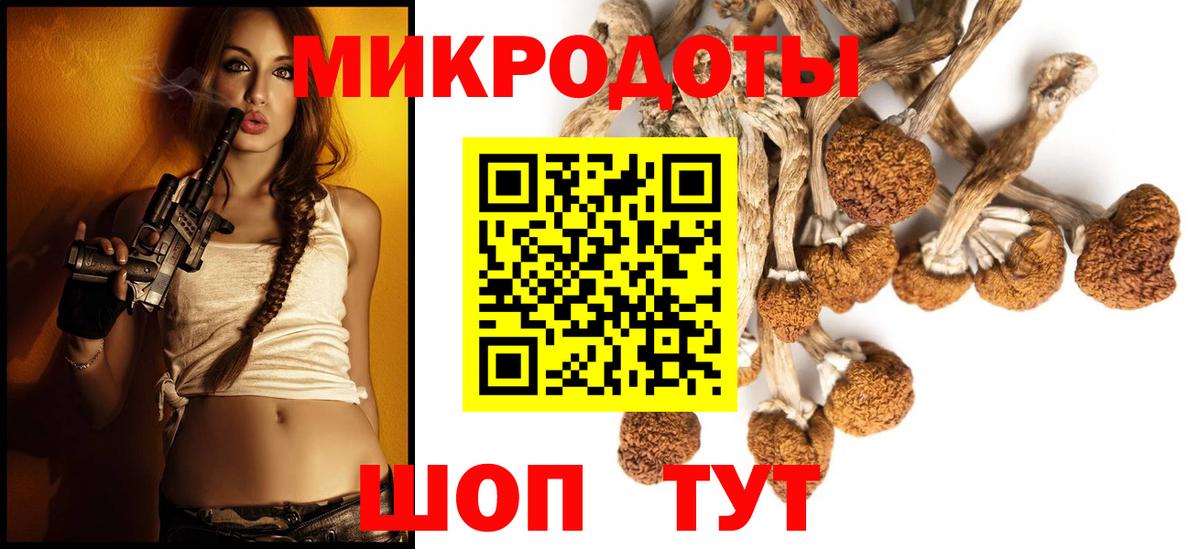 Псилоцибиновые грибы Cubensis Фрязино